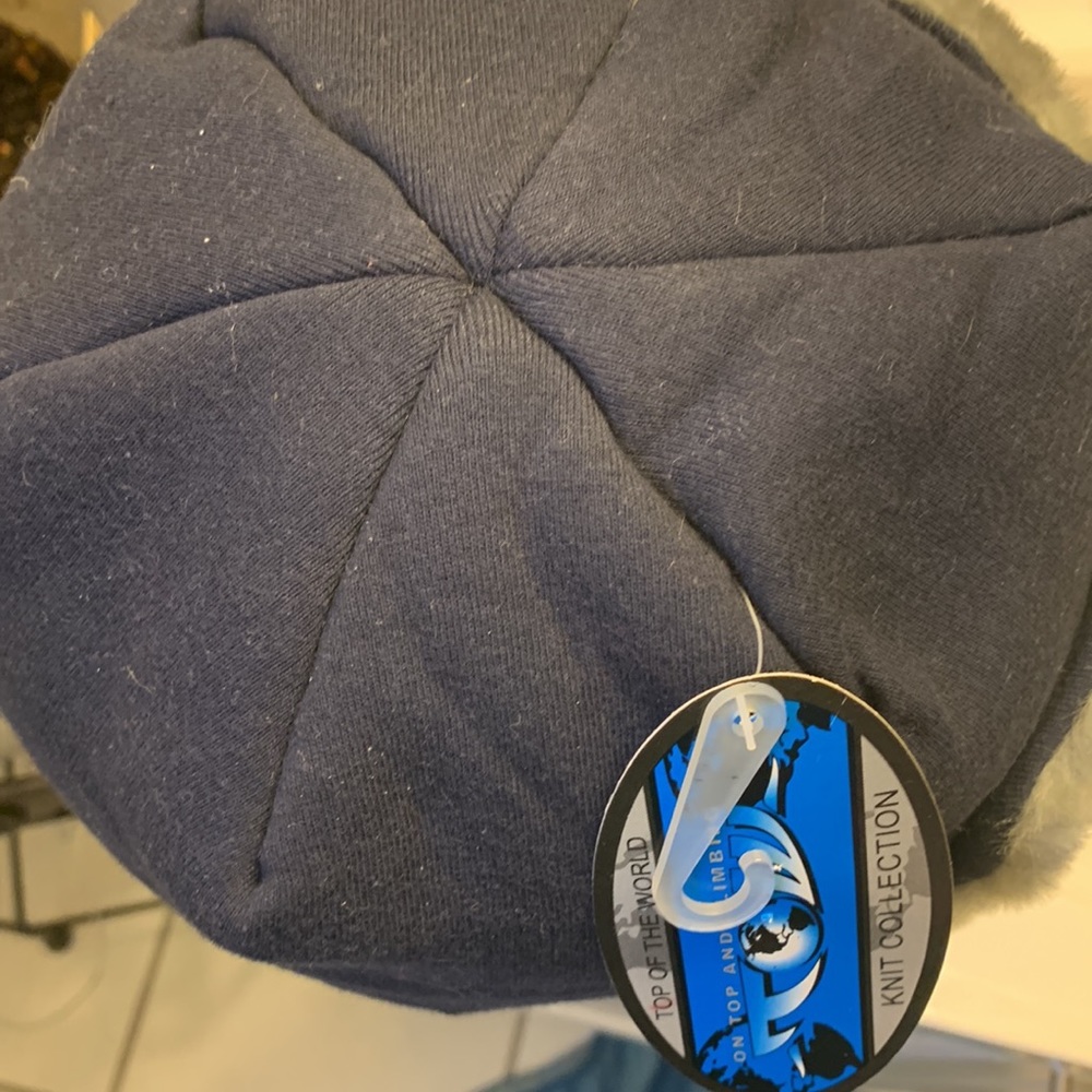 Illini cap - Picture 4 of 4